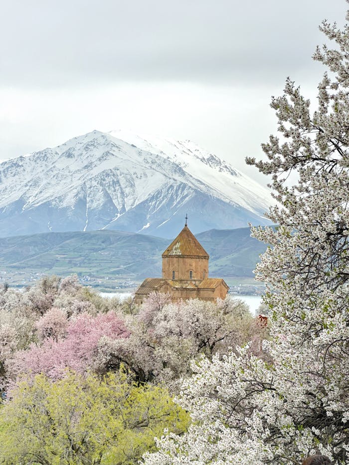 gallery-2 A picturesque Armenian church surrounded by blooming trees with a snowy mountain backdrop in Van, Türkiye.
